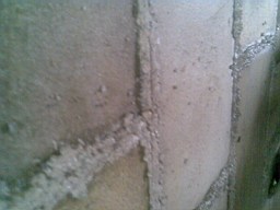 carrowcrory studio-3102.jpg